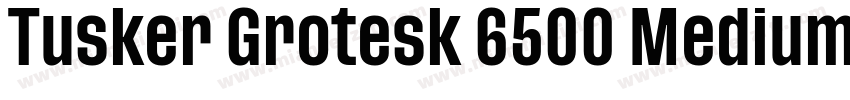 Tusker Grotesk 6500 Medium字体转换